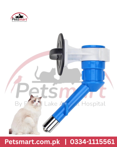Pet drinking water head