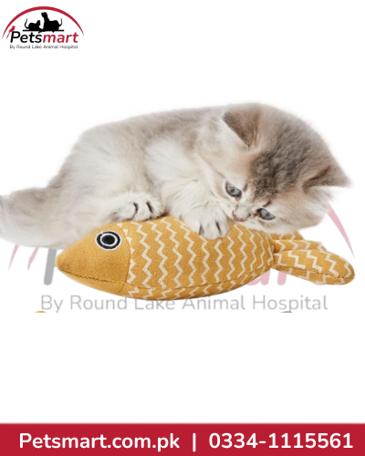 Patterned Plush Fish Toy for Cats ��� Assorted C