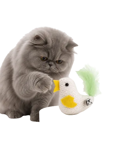 Feather Tail Bird Cat Toy with Bell