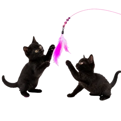 Flexible Feather Cat Teaser Wand Toy Pink