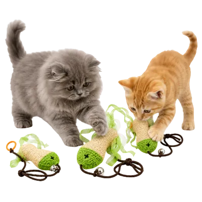 Crinkle Tassel Cat Toy With Ring Bell