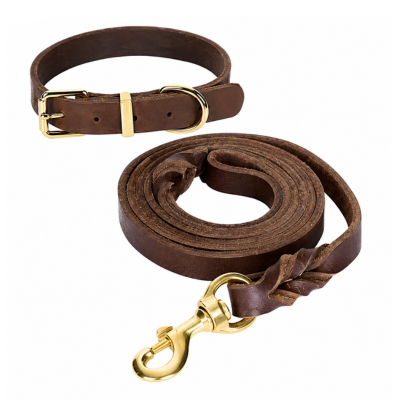 Brown Round Leather Dog Leash And Collar Set With Metal Hardware