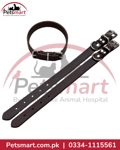 XXL Leather Dog Collar with Metal Buckle