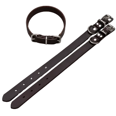 Dog collar