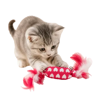 Heart Print Feather Candy Cat Toy With Bell