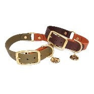 puppy coller