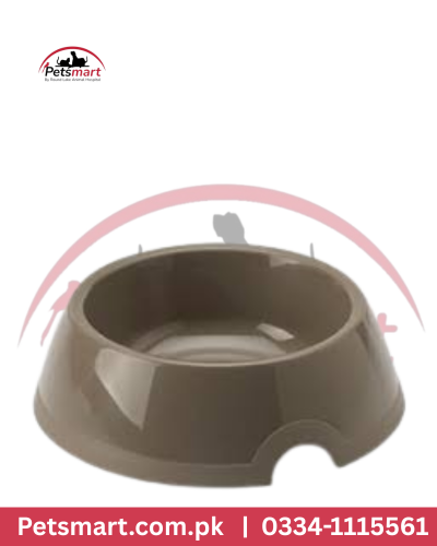 Plastic family Bowl