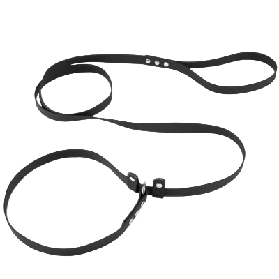 Puppy Slip Leash