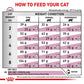 Royal Canin RENAL CAT Food 2KG