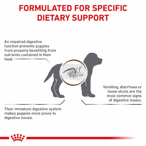 Royal Canin Gastrointestinal Puppy Food