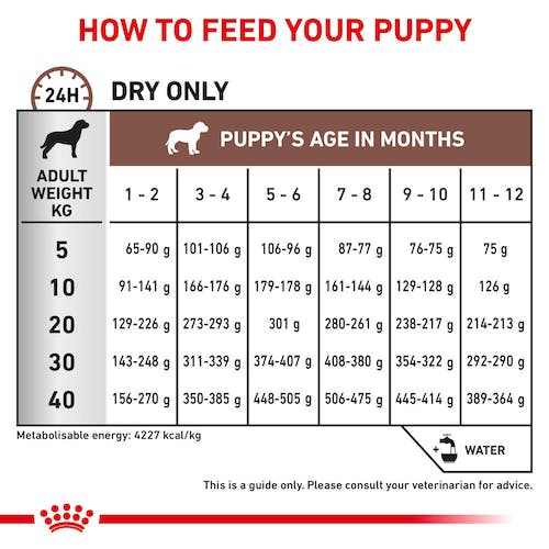 Royal Canin Gastrointestinal Puppy Food
