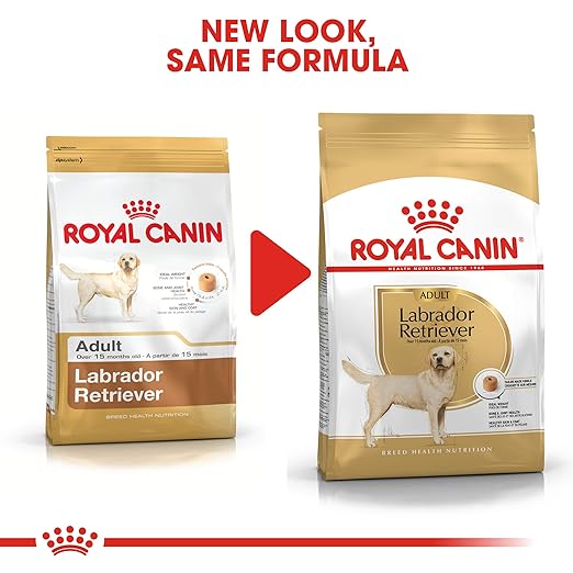 Royal Canin Labrador Retriever Adult Food