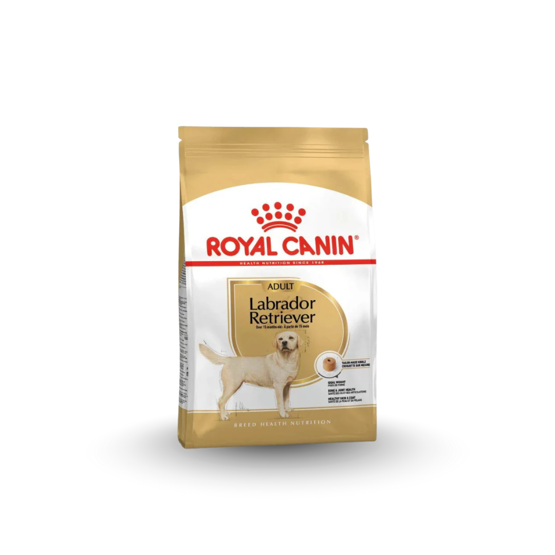 Royal Canin Labrador Retriever Adult Dry Food
