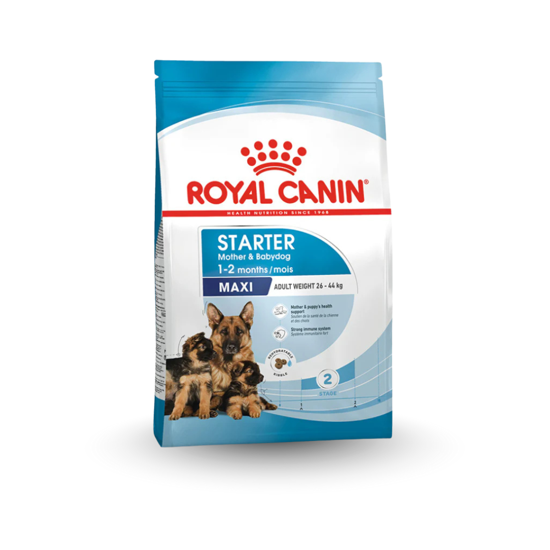 Royal Canin Maxi Starter 15kg
