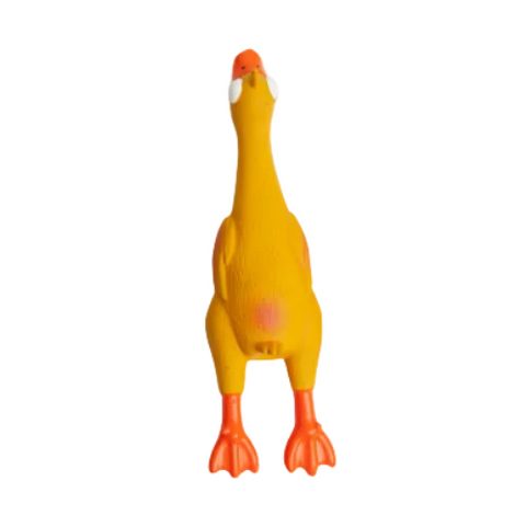 Duck Toy