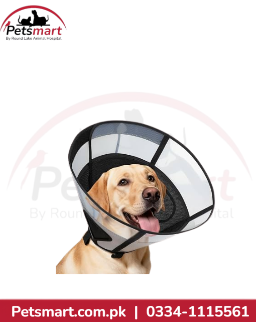 E Collar imported