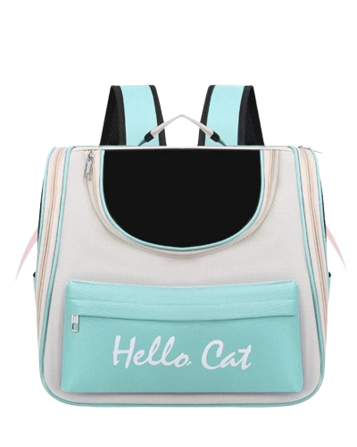 Sea Green Bag Pack