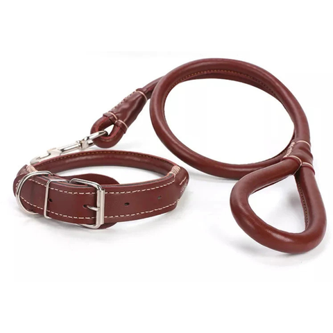 Leather Choke Leash