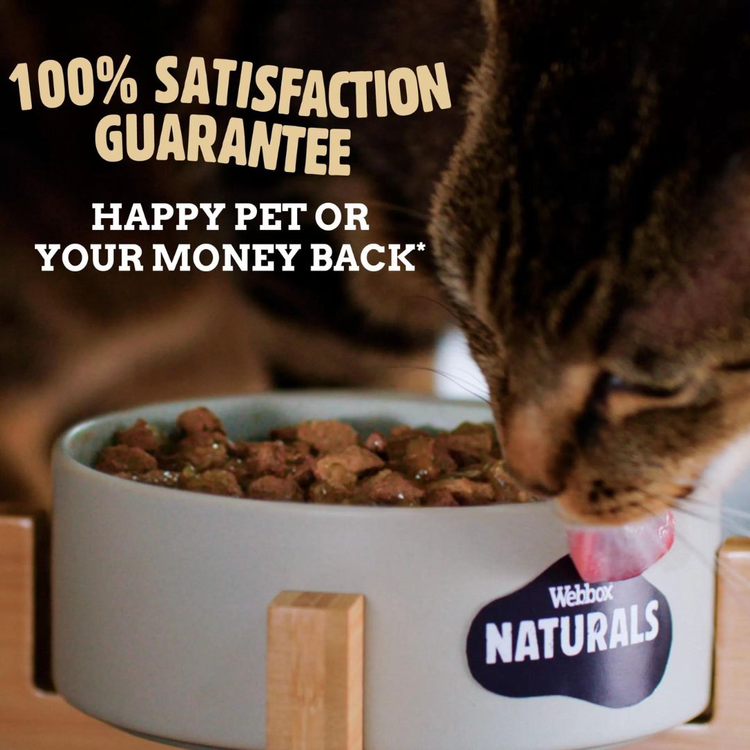 Webbox Naturals Fish in Jelly Wet Cat Food