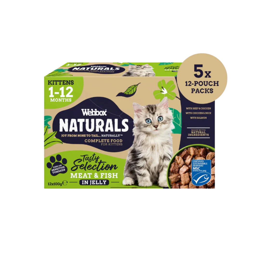 Webbox Naturals Kitten Jelly Wet Cat Food