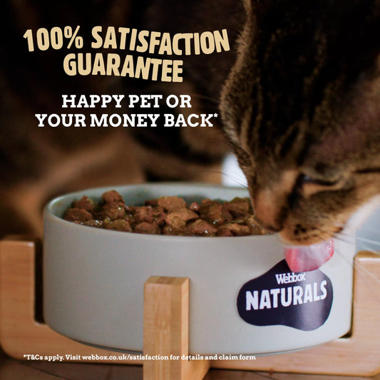 Webbox Naturals Kitten Jelly Wet Cat Food