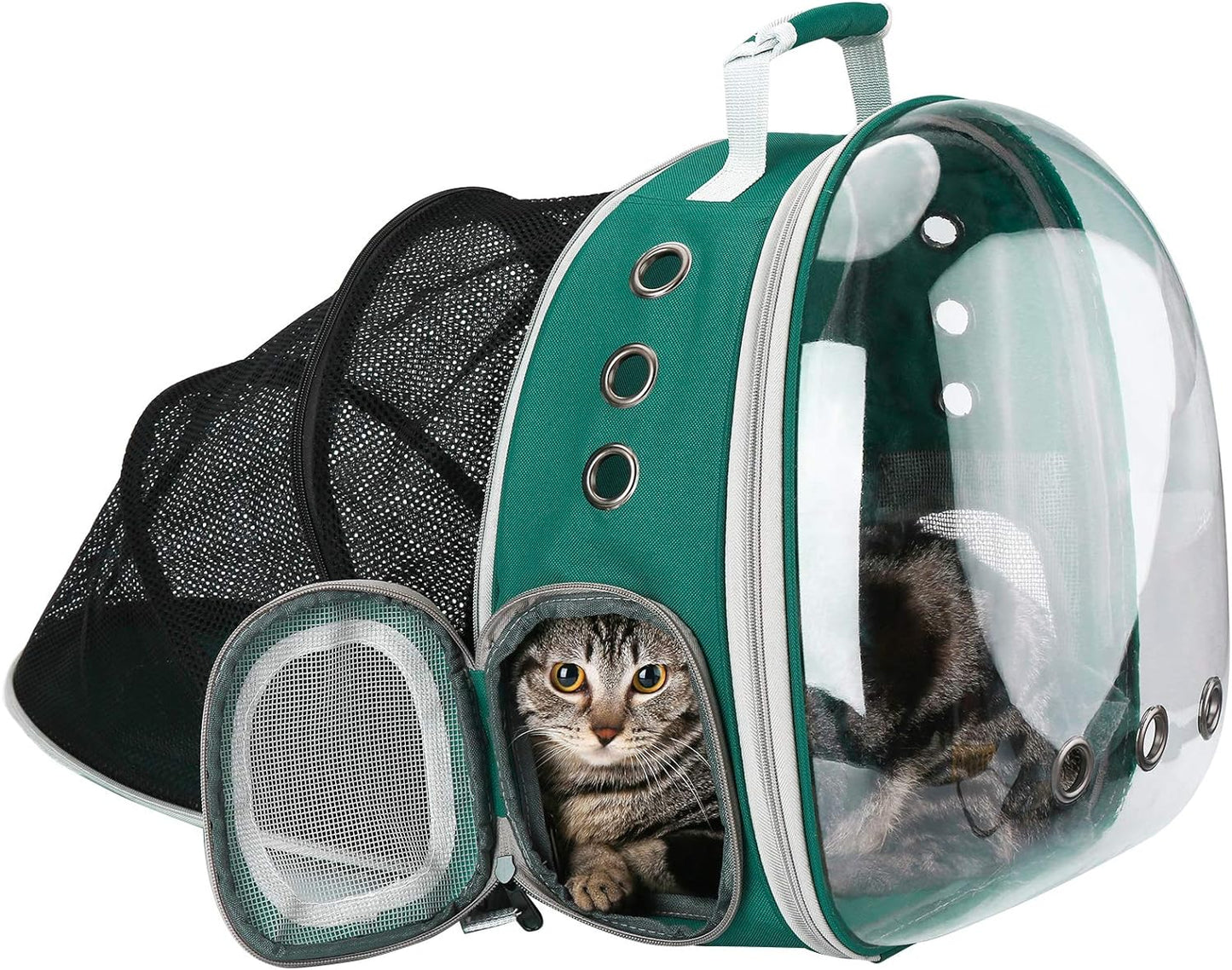 Pet Carrying Bag