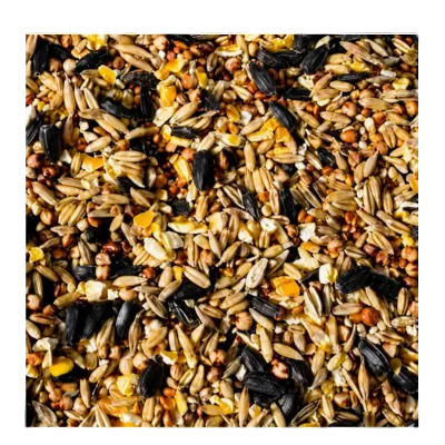 Mixed bird seeds for lovebirds budgies cockatiels Java and larger pet birds