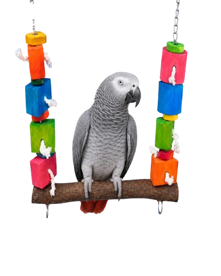Bird Blocks Natural Wooden Swing 30 31Cm