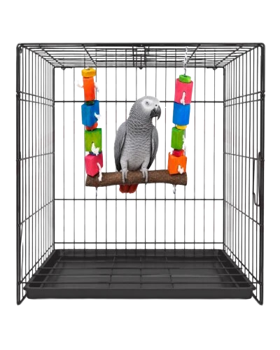 Bird Blocks Natural Wooden Swing 30 31Cm