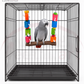 Bird Blocks natural wooden swing 30 by 31cm with colourful blocks rope and hanging chains,african grey parrot on it, inside cage

