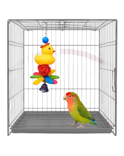 Bird Duck And Bell Hanging Toy