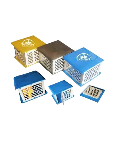 Bird Plastic Carry Box / Travel Carrier
