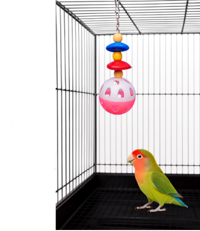 Bird Super Nova colourful hanging toy measuring 5 by 17cm for pet bird cages inside cage for display
