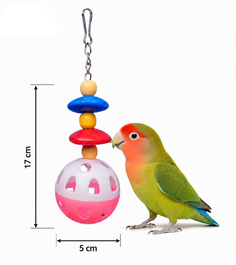 A colorful bird toy with stacked wooden beads and a pink-and-white ball, shown next to a green lovebird parrot on a white background. Measurement annotations indicate 17 cm height and 5 cm width.
