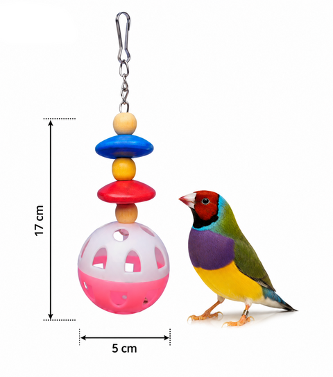 A colorful bird toy with a metal clip at the top, featuring stacked wooden beads in blue, yellow, and red, and a pink-and-white ball at the bottom. A small multicolored bird stands beside it on a white background, with dimension lines showing 17 cm height and 5 cm width.