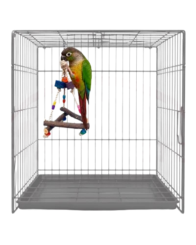 Bird Triangle Adventure Hanging Toy 18 40Cm