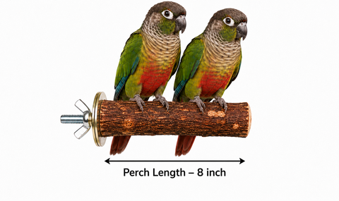 Two conure perched on a wooden bird perch with a wing nut attachment, shown on a white background with a Petsmart logo and a red contact banner.