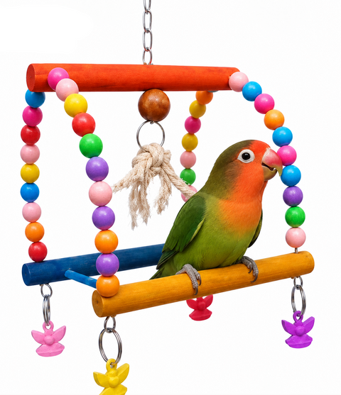 Bird wooden candy swing with colourful beads wooden bars and hanging decorative pieces with lovebird