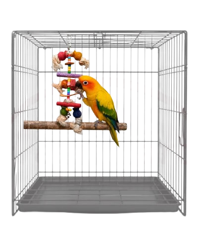 Birdie Bella Hanging Wooden Bird Toy 8 22 Cm