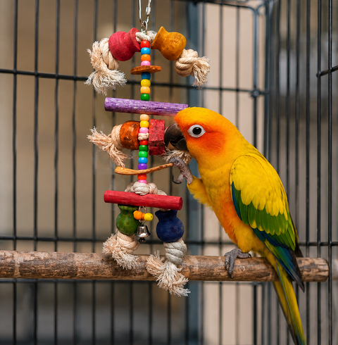 Birdie Bella hanging bird toy with colourful wooden pieces rope knots beads and bell