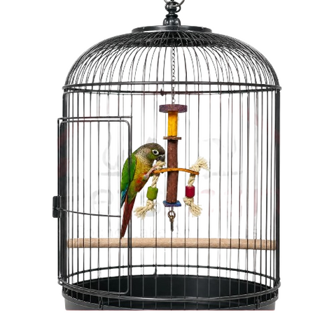 Birdie Buddy Hanging Bird Toy 10 31Cm