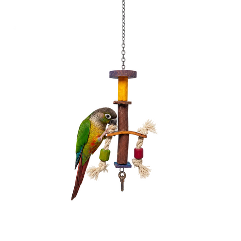A hanging bird toy with a conure perched on it, shown against a white background with Petsmart branding and a red contact banner.