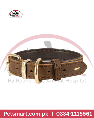 Dog coller s