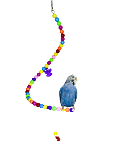 Colourful spiral hanging bird swing and perch with multicolour beads for pet birds
