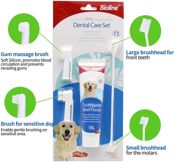 Bioline Dental Hygiene Set-Mint Dog 100g