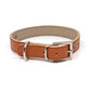 Light Brown Leather Collar Imp (Large)