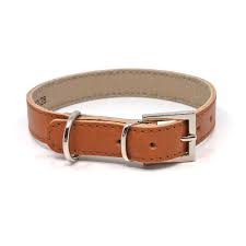 Light Brown Leather Collar Imp (Large)