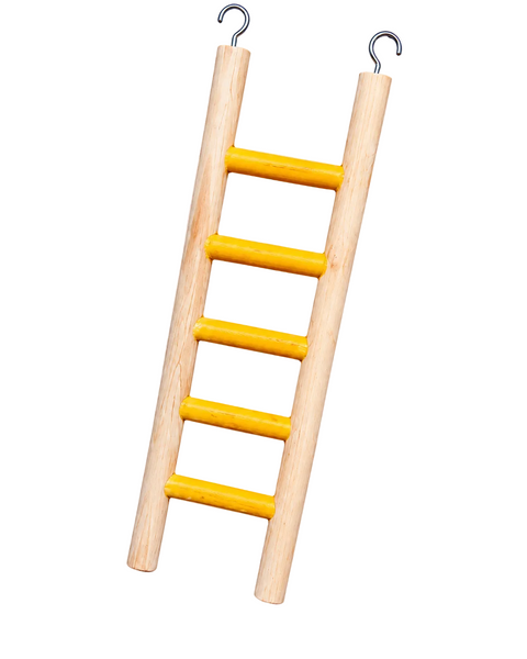 Five step hanging bird ladder measuring 8.5 by 20cm for climbing and perching