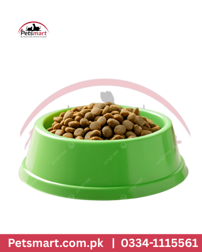 Green Bowl for Dogs