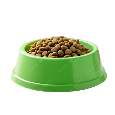 Green Bowl For Dogs